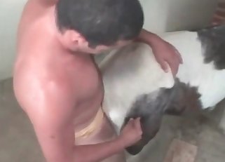 Pony